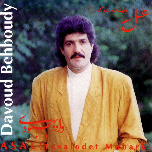 Ghameh Fardaa - Davood Behboodi