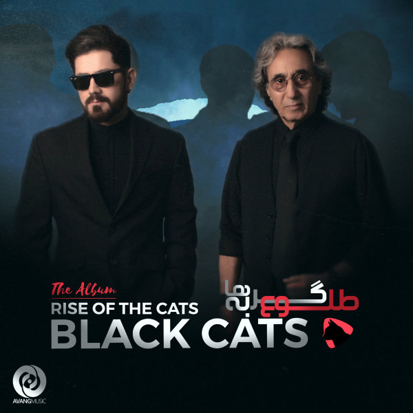 Medley - Black Cats