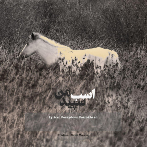 Asbe Sepide Man - Omid Eskandar & Setare Ghoreyshi