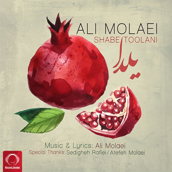 Shabe Toolani - Ali Molaei