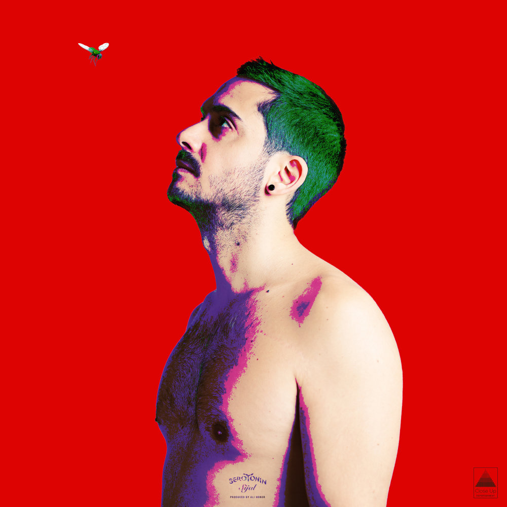 Bi Ghafiye - Sijal