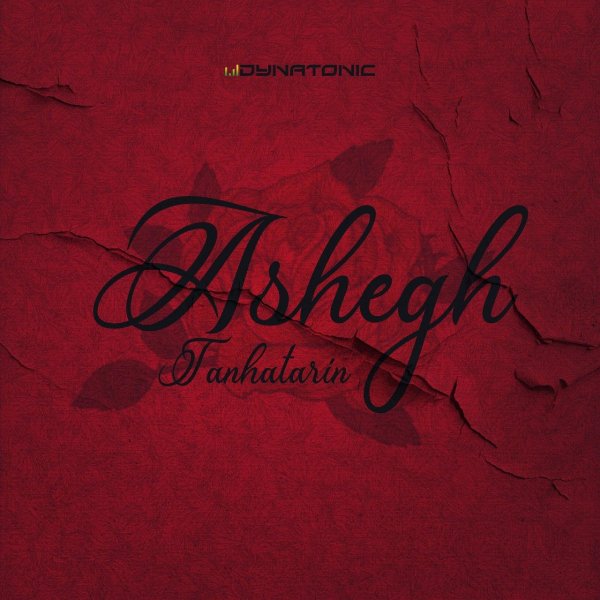 Tanhatarin Ashegh (Remix) - Dynatonic