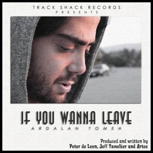 If You Wanna Leave