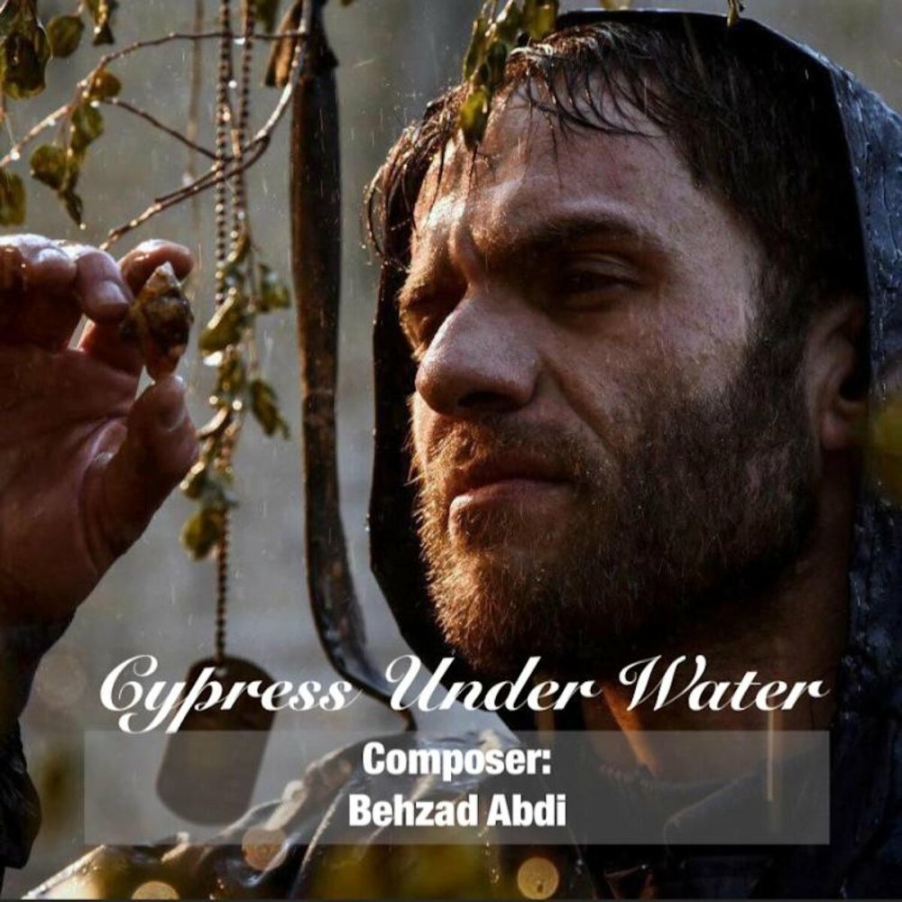 Final - Behzad Abdi