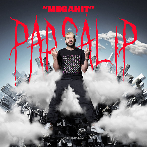 Megahit - Parsalip