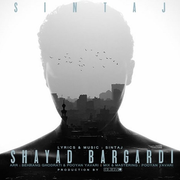 Shayad Bargardi - Sintaj