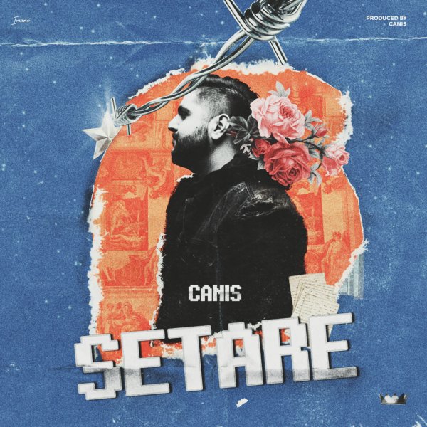 Setare - Canis