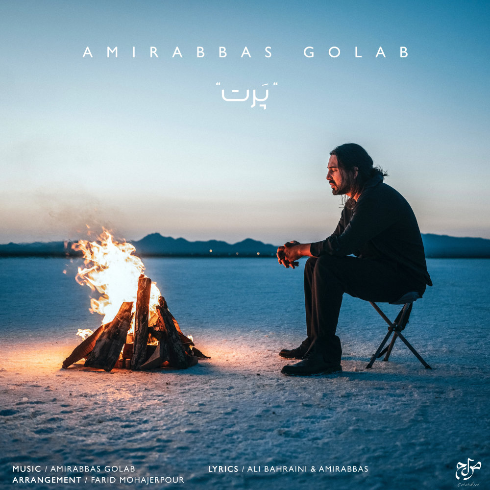 Part - Amirabbas Golab