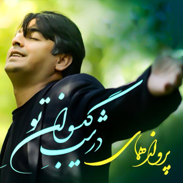 Dar Shabe Gisovaane To - Parvaz Homay