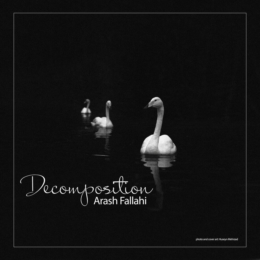 Decomposition - Arash Fallahi