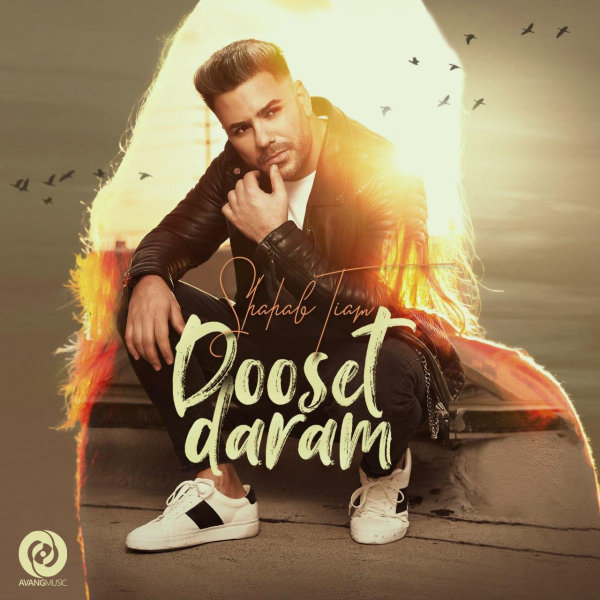 Dooset Daram - Shahab Tiam