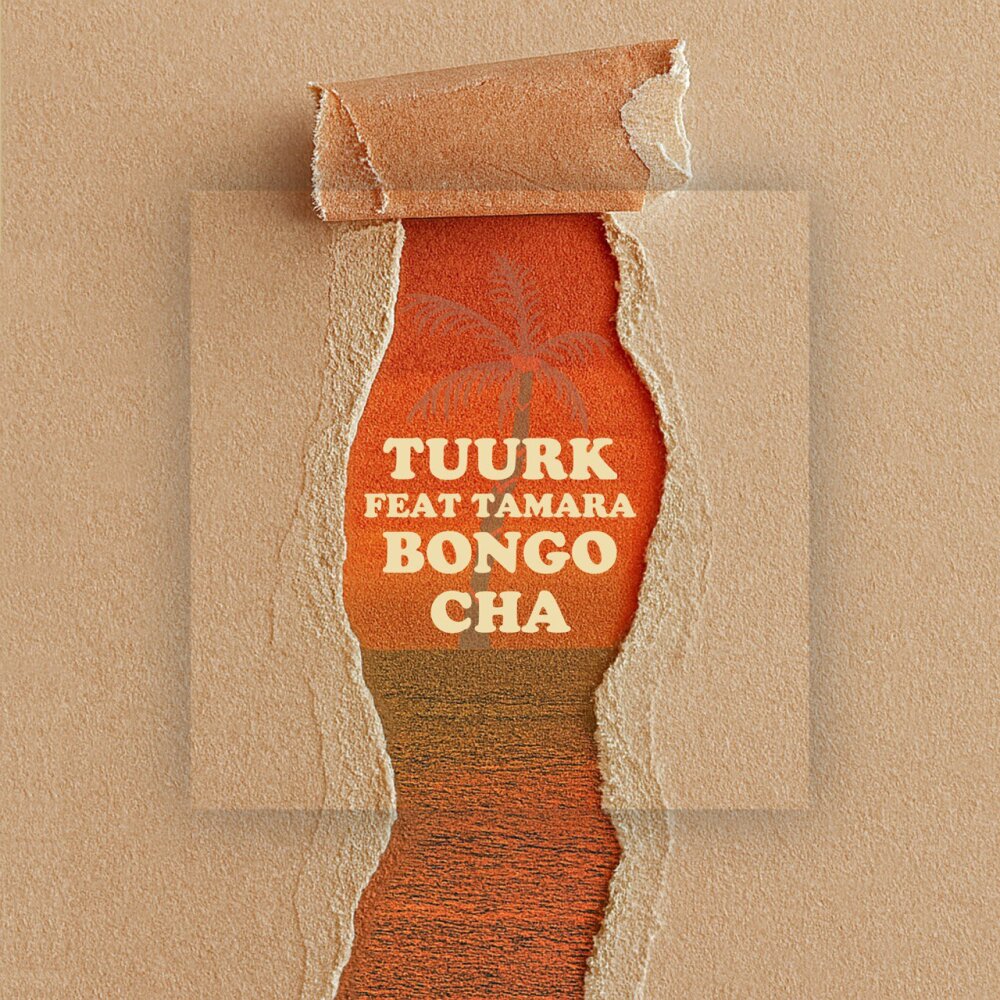Bongo Cha (Ft Tamara) - Tuurk