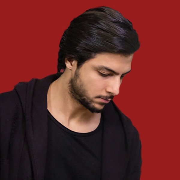 Mehrad Hidden