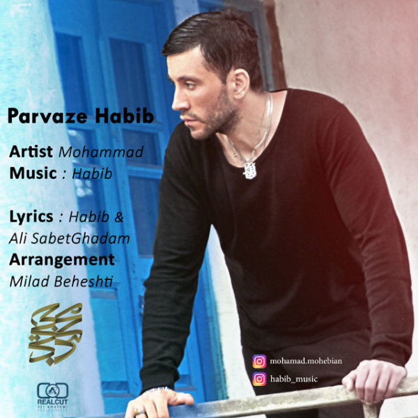 Parvaze Habib