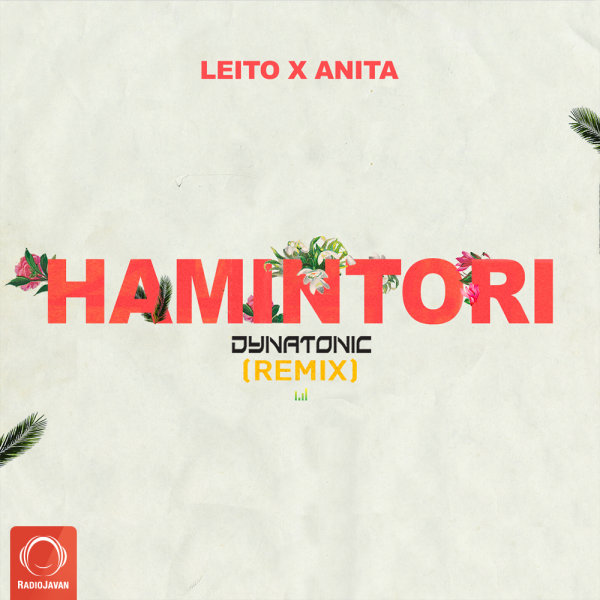 Hamintori Ft Anita (Dynatonic Remix)