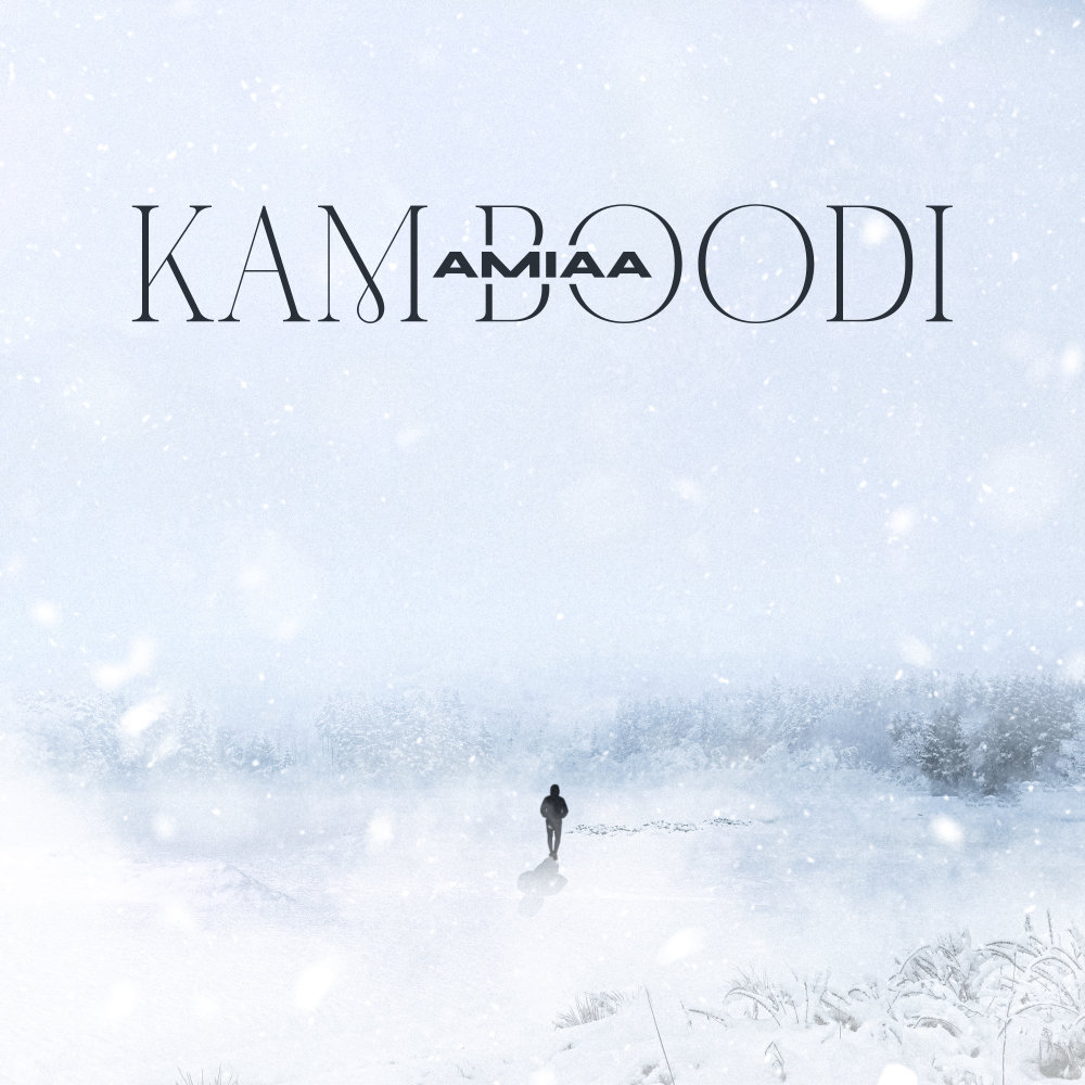 Kam Boodi