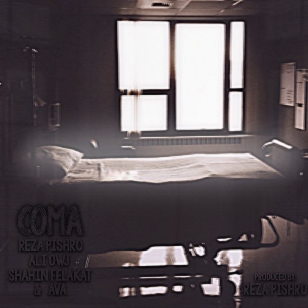 Coma (Ft Ava & Shahin Felakat & Ali Owj)