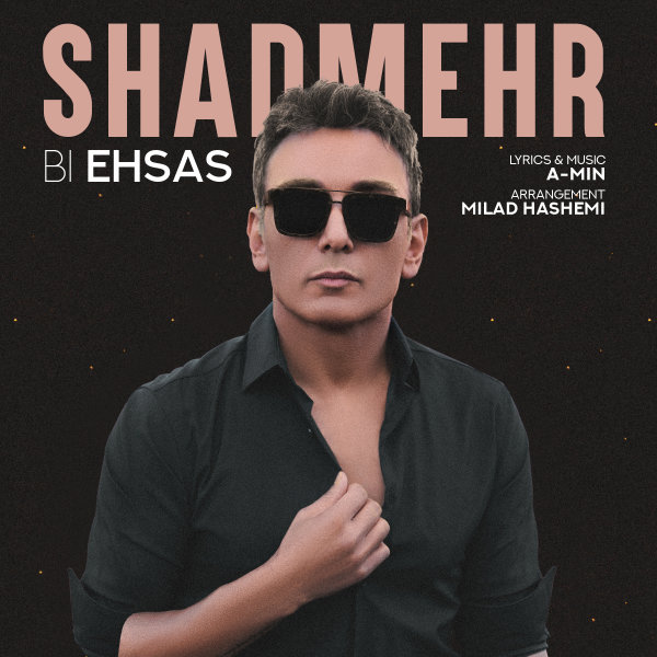 Bi Ehsas - Shadmehr Aghili
