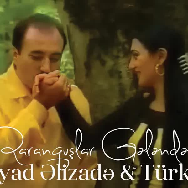Qaranquşlar Gələndə - Səyyad Əlizadə