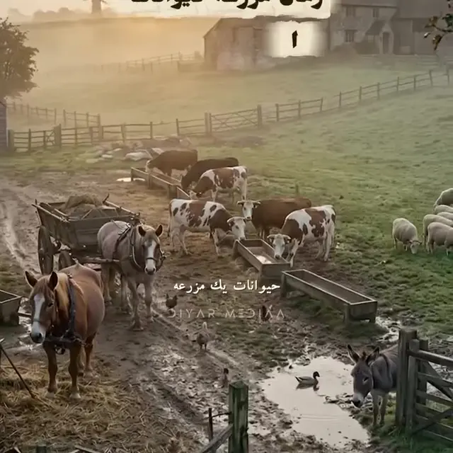 بخش ۵