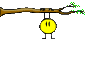 1008