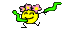 243