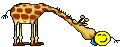 996