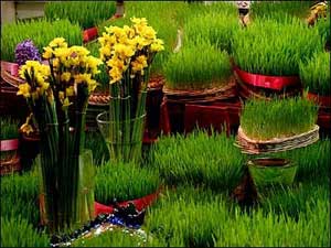 ♥♥♥ عید می آید و اجناس گران خواهد شد (طنز) ♥♥♥