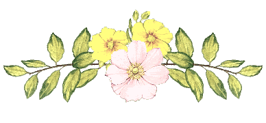 •.¸¸¸.•` فال روزدوشنبه ( 16 تیر _ 7 جولای)`•.¸¸¸.•.